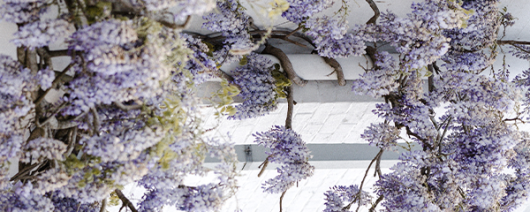 AFI Compare to Aroma Wisteria Blue by Nest® F42622 banner