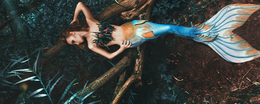AFI Compare to Aroma Mermaid Wishes by BBW® F35115 banner