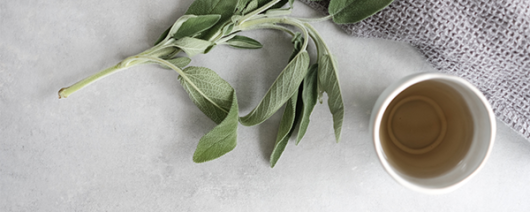 AFI Compare to Aroma White Tea & Sage by White Barn® F34003 banner
