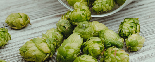 AFI Compare to Aroma Hops F38533 banner