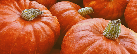AFI Compare to Aroma Pumpkin by BBW® F22772 banner