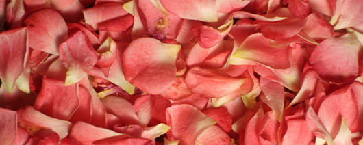 AFI Compare to Aroma Rose Petals & Linen by BBW® F43208 banner