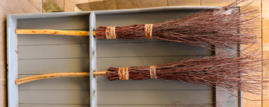 AFI Compare to Aroma Cinnamon Broom by Trader Joe's® F28863 banner