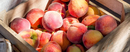 AFI Compare to Aroma Market Peach by BBW® F45345 banner