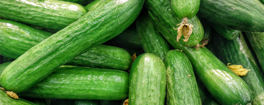 AFI Compare to Aroma Cucumber by Natures Garden® F31549 banner
