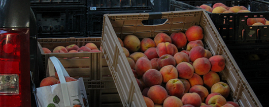 AFI Compare to Aroma Market Peach by Crafter's Choice® F30761 banner