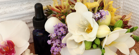 AFI Compare to Aroma Honeysuckle & Freesia by BBW® F34787 banner