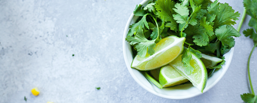 AFI Compare to Aroma Fresh Lime & Cilantro by Yankee® F37620 banner
