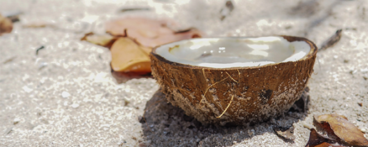 AFI Compare to Aroma Beach Water Coconut by BBW® F38230 banner