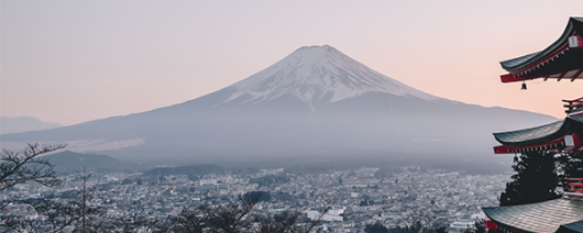 AFI Compare to Aroma Majestic MT Fuji by Yankee Candle® F50982 banner