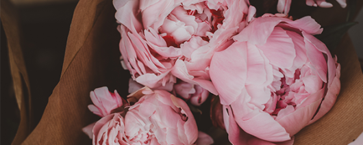 AFI Compare to Aroma Peony by BBW® F22768 banner