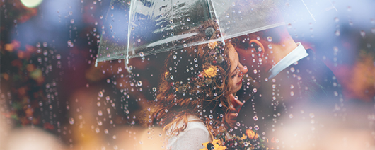 AFI Compare to Aroma Dance In The Rain by BBW® F38032 banner