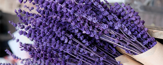 AFI Compare to Aroma Lavender Blended Bushels F48040 banner