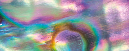IrisGlitter POLYESTER “HOLOGRAPHIC” ARGENTO 110 banner