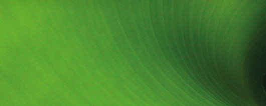 IrisECO GREEN OXIDE (GX) banner