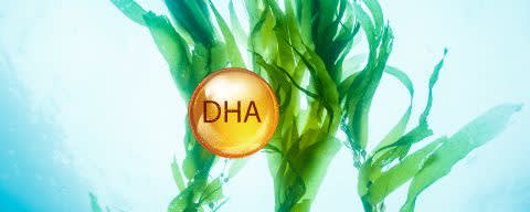 AlgaDHA® DHA>15% Algae Oil Powder banner