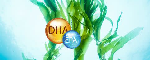 AlgaMEGA® DHA>9% + EPA>4.5% Algae Oil Powder banner