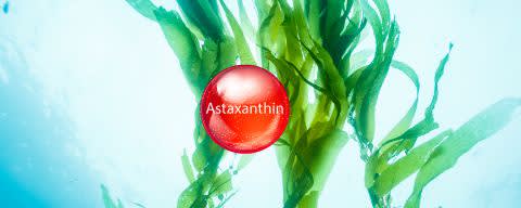 NativAsta® 2.5% Astaxanthin CWS Powder banner