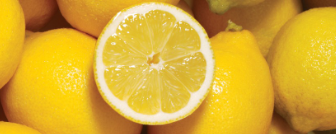 Givaudan Organics Natural Lemon Extract (UB-7420) banner