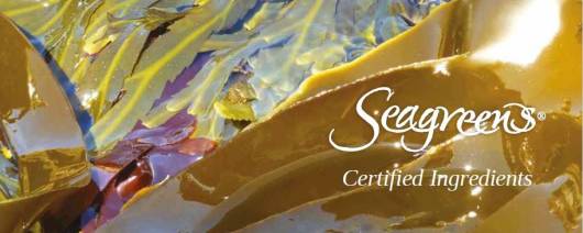 Seagreens® Pelvetia canaliculata banner