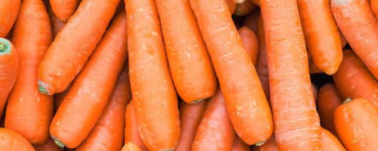 Outcast Foods Dehydrated Carrots banner