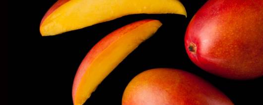 PRIMETIME Nat Tropical Fruit Flavor WONF (BD-11021) banner
