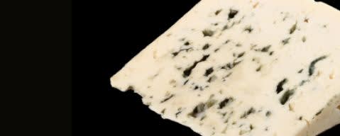PRIMETIME Nat Blue Cheese Flavor Type (BD-10355) banner
