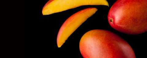 PRIMETIME EverFresh 100 N&A Mango (ripe) Flavor Type (BD-10829) banner
