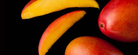 PRIMETIME UltraSeal 160 Nat Mango Flavor WONF, Tommy Type (BD-11028) banner