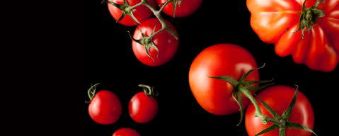 PRIMETIME Nat Tomato (fresh) Flavor WONF (BD-10082) banner
