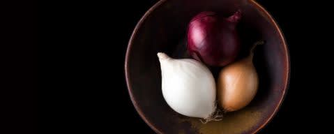 PRIMETIME EverFresh 100 Nat Onion & Garlic (sauteed) Flavor WONF (BD-10847) banner