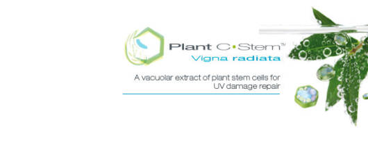 Plant C-Stem™ Vigna Radiata banner