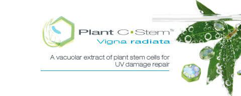 Plant C-Stem banner
