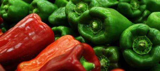 Culinary Farms Green Bell Pepper Puree (Made with Untreated peppers) banner