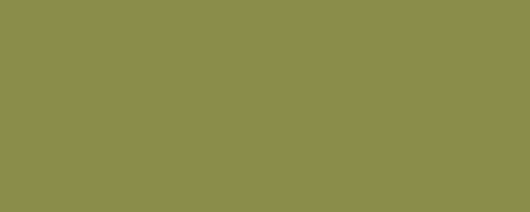 BARLETTA GREEN Pigment Dispersion (Flooring) banner
