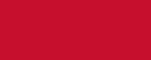 TORINO RED Pigment Dispersion (Flooring) banner