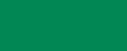 ICARO GREEN Pigment Dispersion (Elastomers) banner