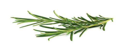 Hydroflorate® Rosemary Concentrate 10X banner
