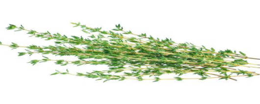 Hydroflorate® Thyme Concentrate 15x banner