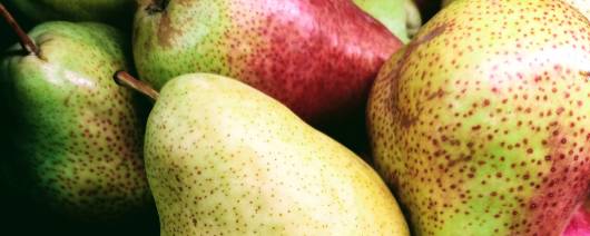 Metarom Group Pear Flavor Type Natural (MTA00647) - Organic banner