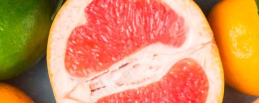 Metarom Group Grapefruit Flavor Natural WONF (MTA01048) banner