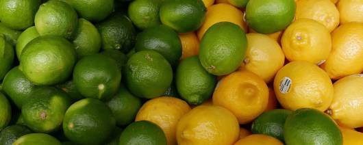 Metarom Group Lemon & Lime Flavor Natural WONF (MTA01050) banner