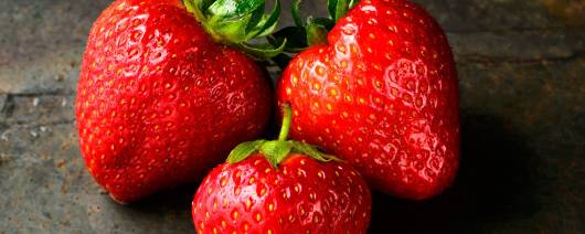 Metarom Group Strawberry Flavor Natural WONF Organic (MTA00549)  banner