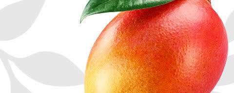 Flavor Producers Organic Flavor Blend (Mango Type) (≥95% Organic Content) (ELF1030) banner