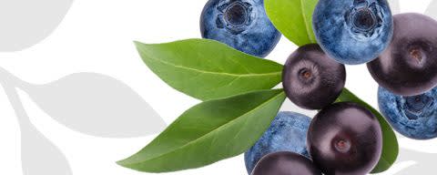 Flavor Producers Natural Flavor Blend (Acai Blueberry Pomegranate Type) (ELF1001) banner
