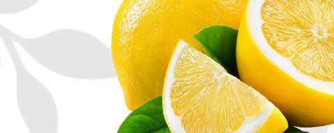 Flavor Producers Natural Lemon Flavor WONF (ELF1054) banner
