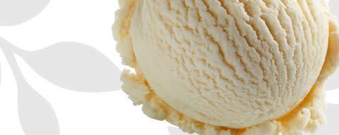 Flavor Producers Natural Vanilla (Ice Cream Type) Flavor WONF (ELF1049) banner