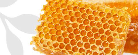 Flavor Producers Natural Honey Flavor WONF (ELF1026) banner