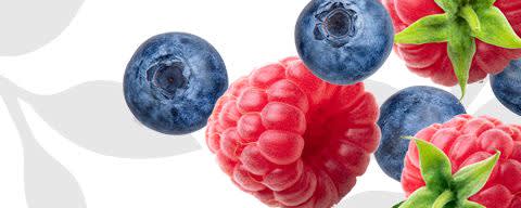 Flavor Producers Natural Blueberry Raspberry Flavor WONF (ELF1007) banner