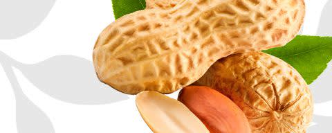 Flavor Producers Natural Flavor Blend (Peanut Type) (ELF1038) banner